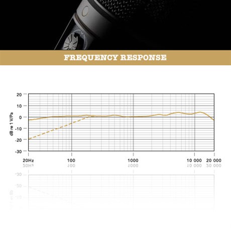 RØDE NT2000