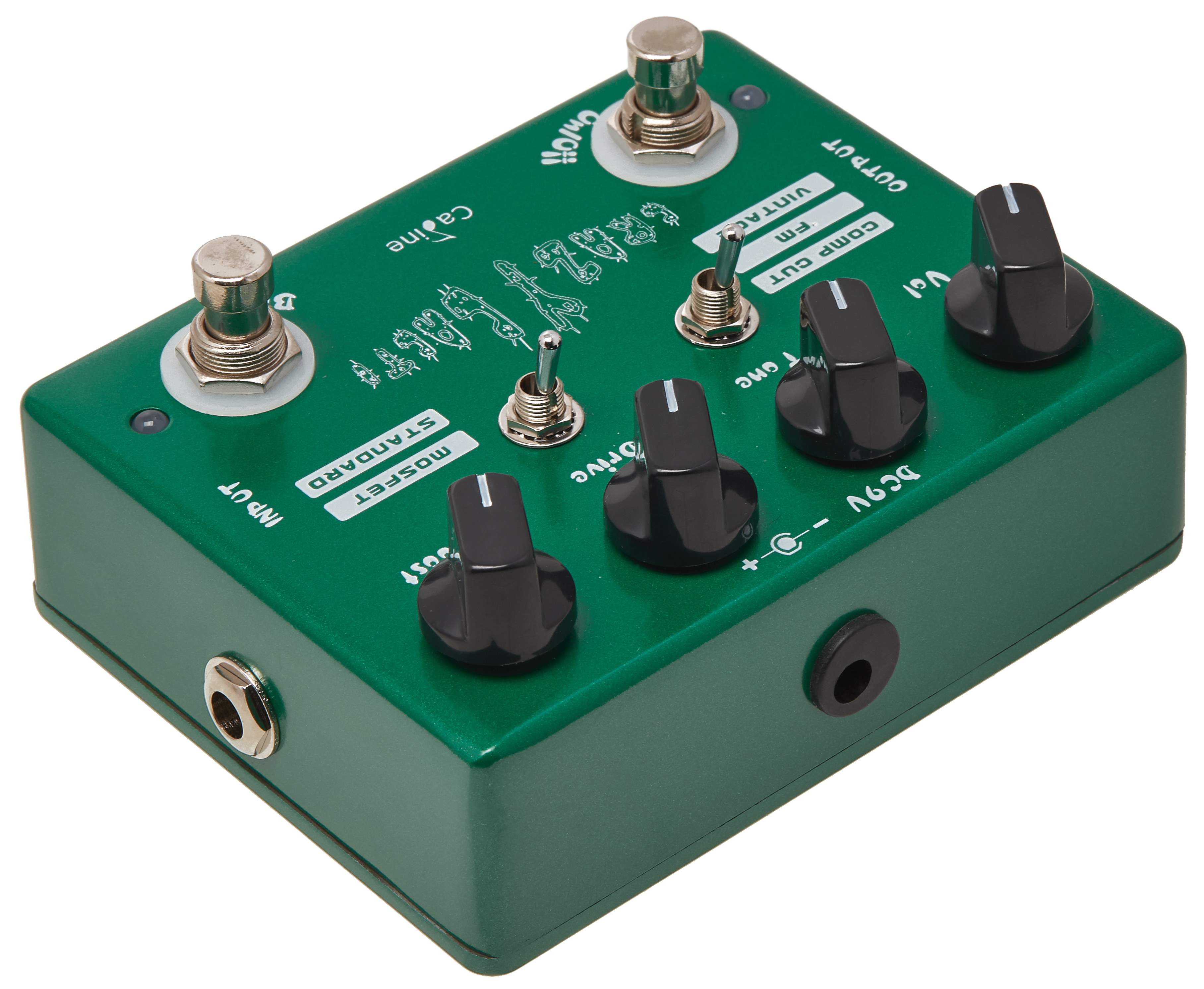 CALINE CP-20 "Crazy Cacti"