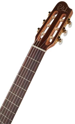 GODIN Concert