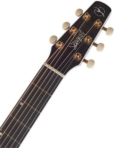 SEAGULL Artist Mosaic EQ