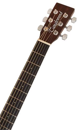 TANGLEWOOD TWCR O