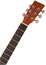 TANGLEWOOD TWR2 O