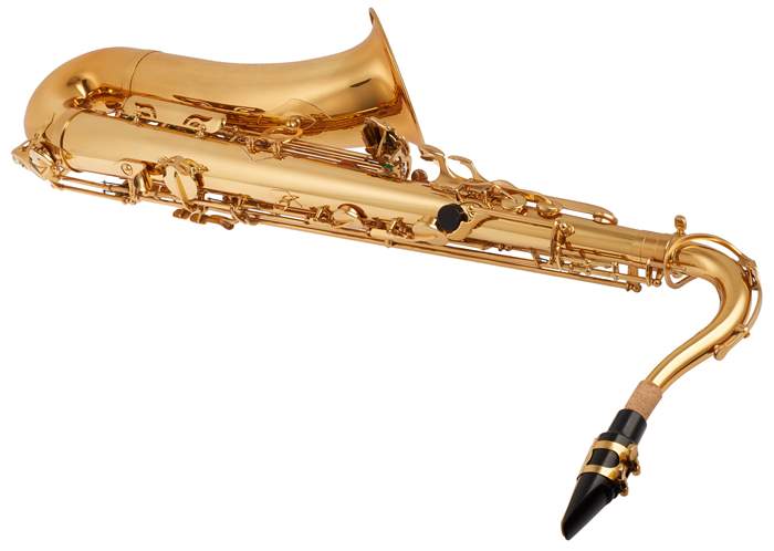 BACIO INSTRUMENTS BTS-100