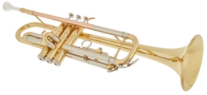 BACIO INSTRUMENTS BTR-100