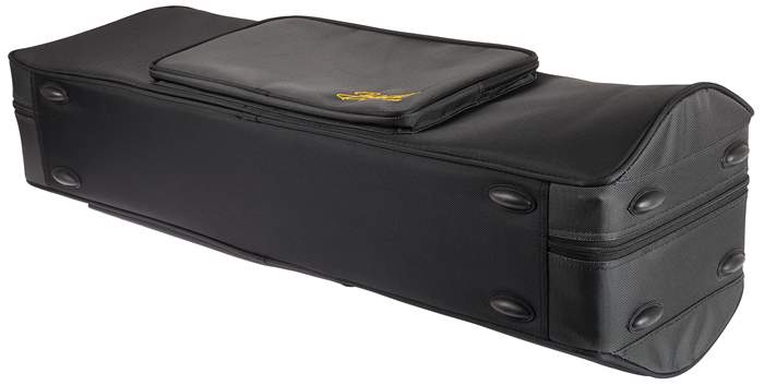 BACIO INSTRUMENTS BTTC260