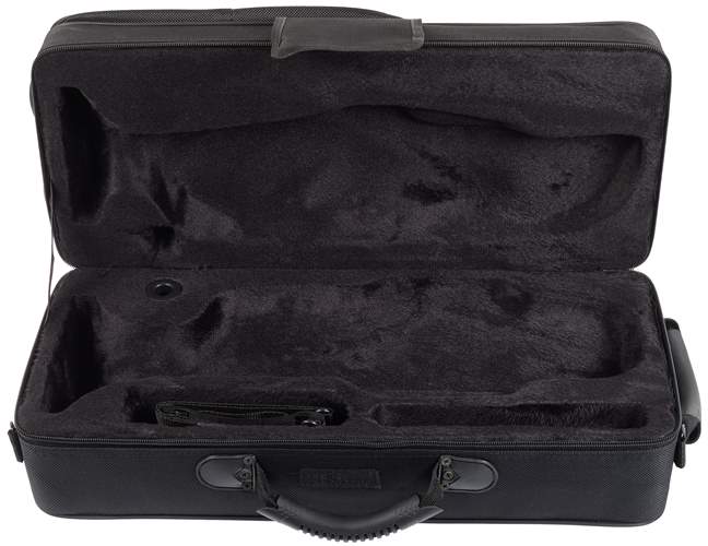 BACIO INSTRUMENTS BTC010