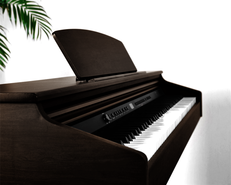 Artesia DP-3 Rosewood