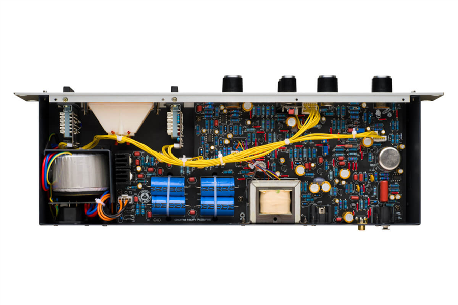 Black Lion Audio Bluey