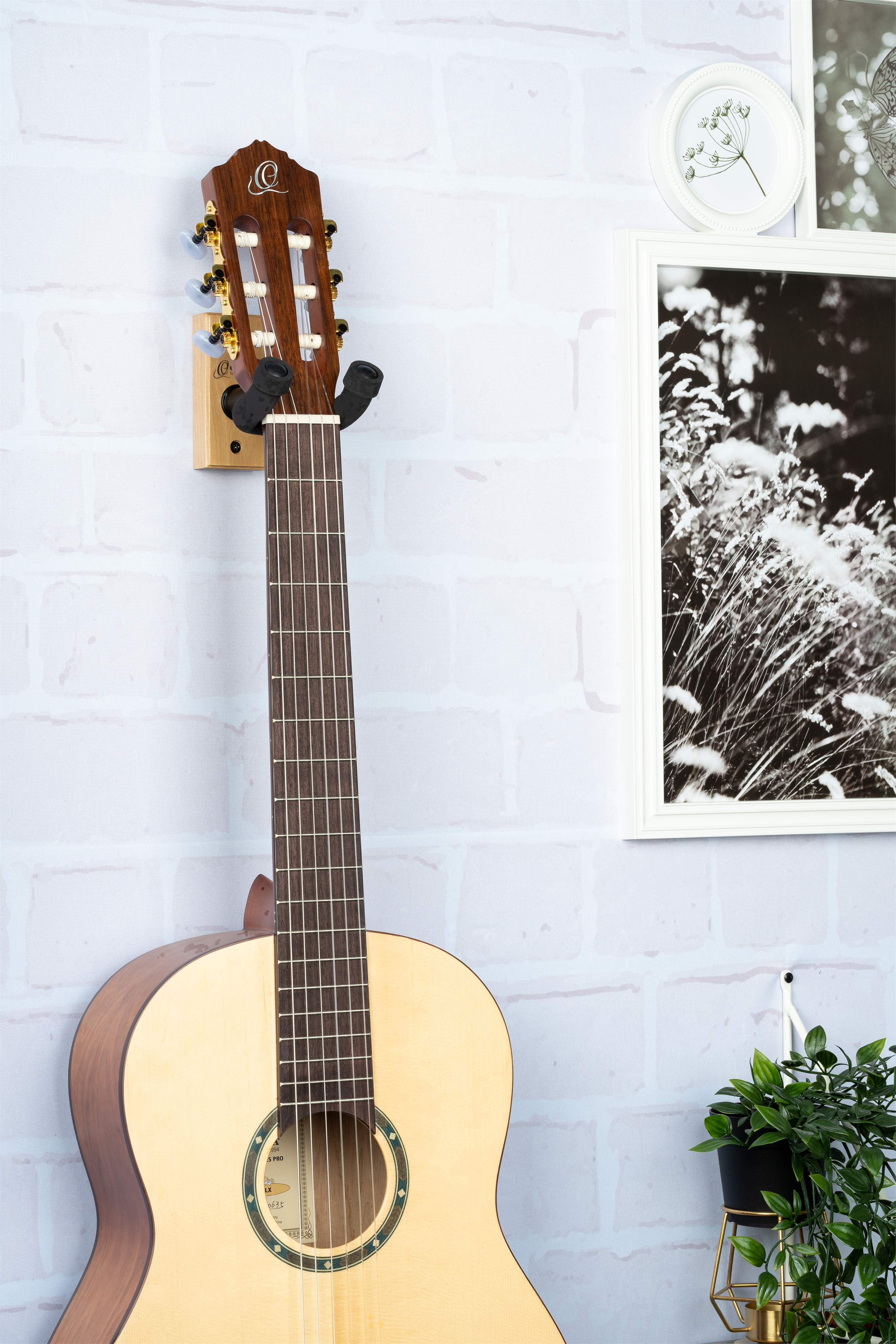 ORTEGA OGH-1NT