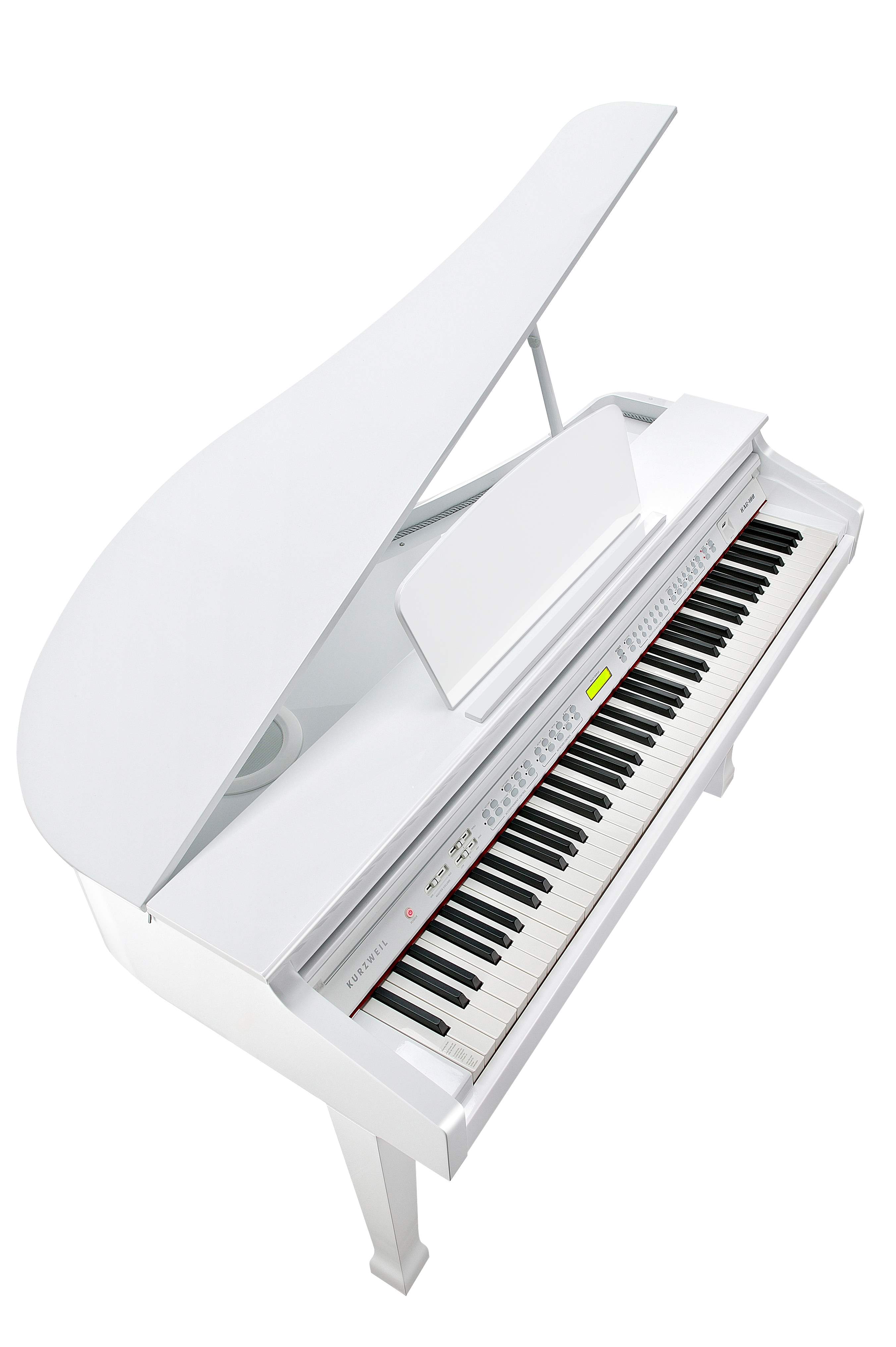 KURZWEIL KAG100 WHP