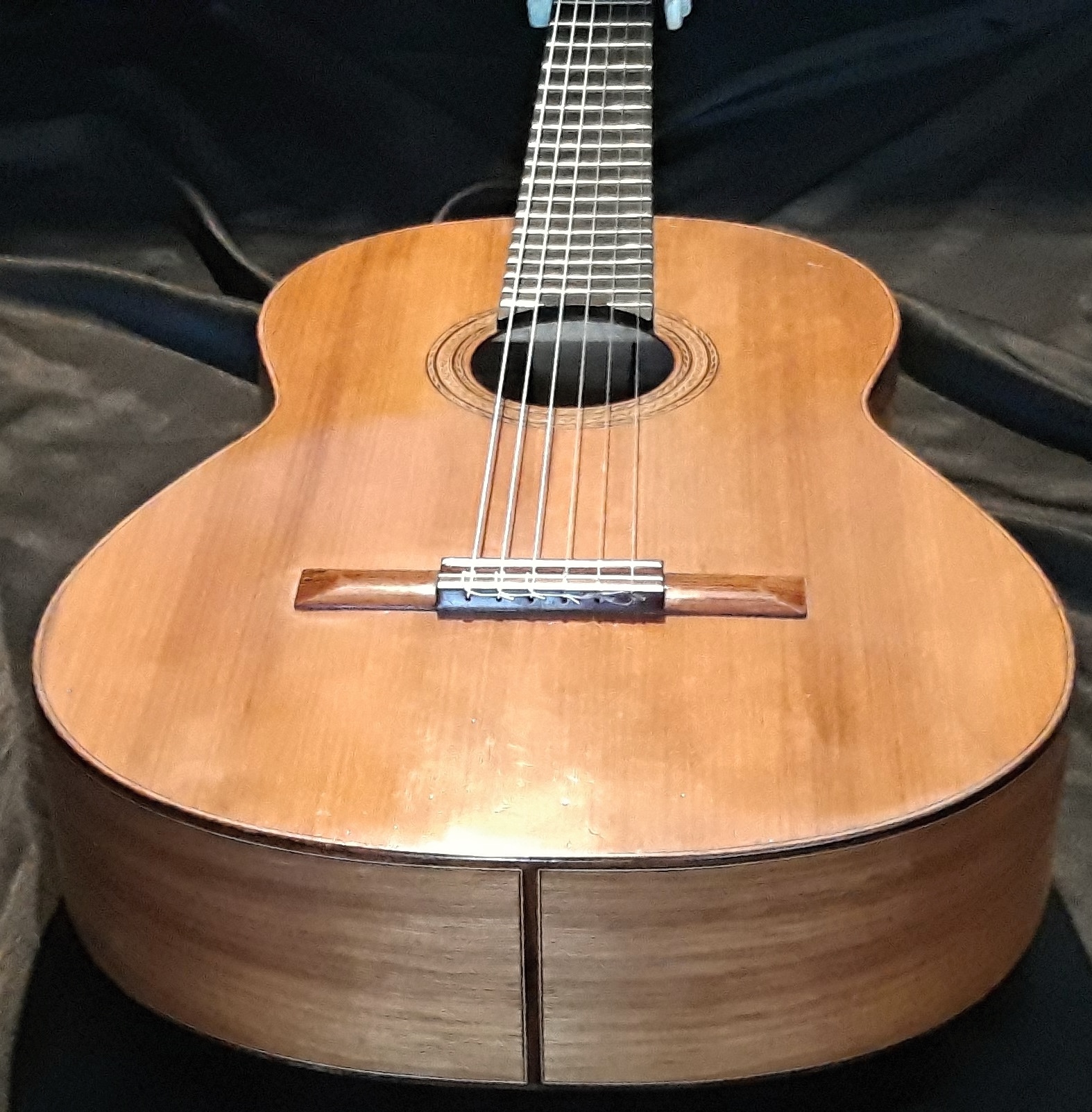  OPUS81 Koncertní mistrovská kytara Martin Fleeson 