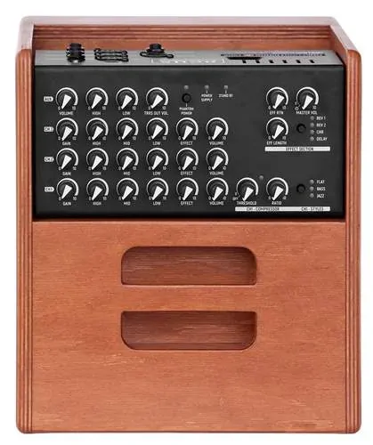 ACUS One ForStrings 5 Ferdi Wood
