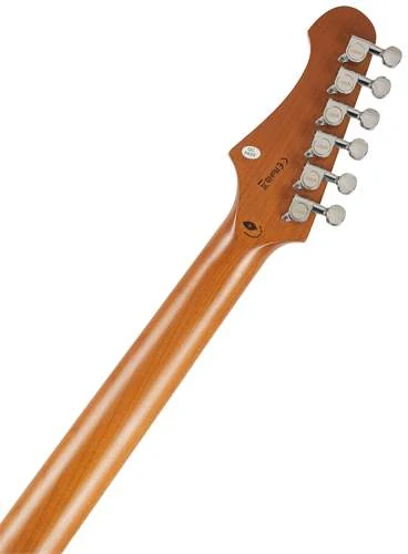 JET GUITARS JT 300 LPB