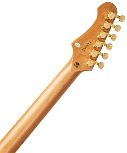 JET GUITARS JS-480 WR G