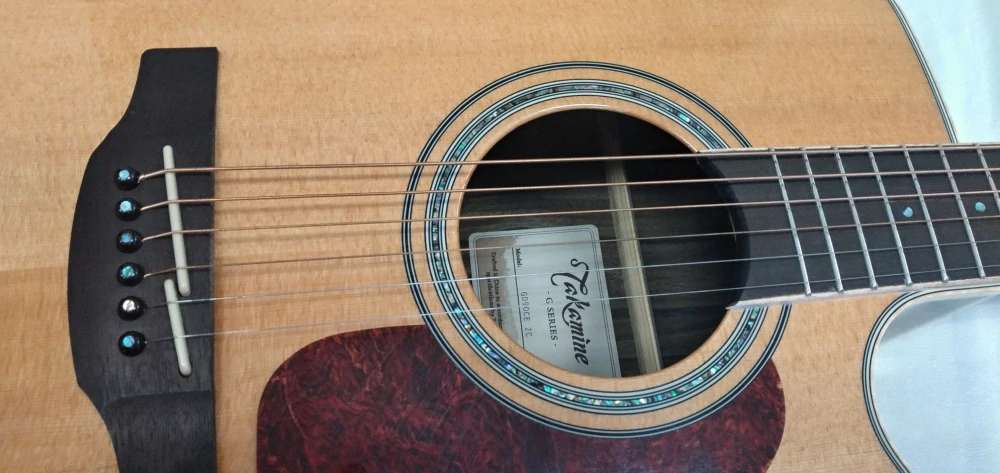 Takamine GD90CE-ZC NAT + obal  Yamaha