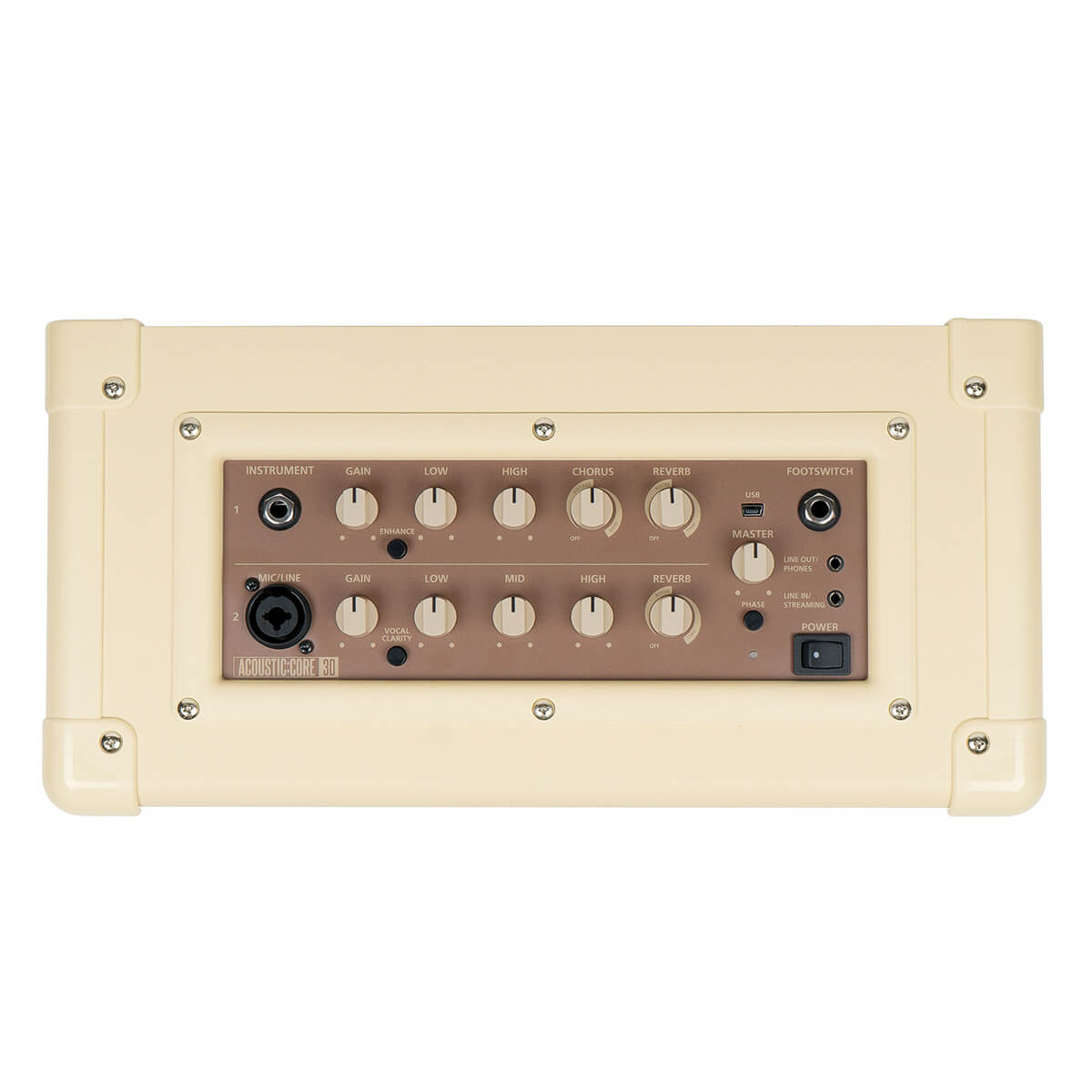 BLACKSTAR ACOUSTIC:CORE 30