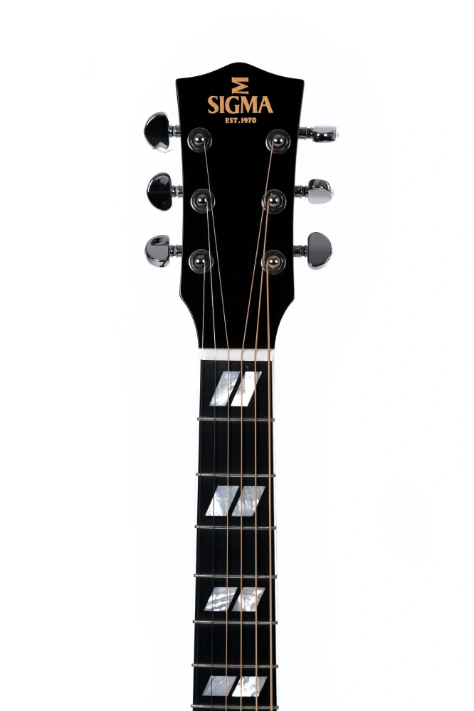 Sigma Guitars DM-SG5L 