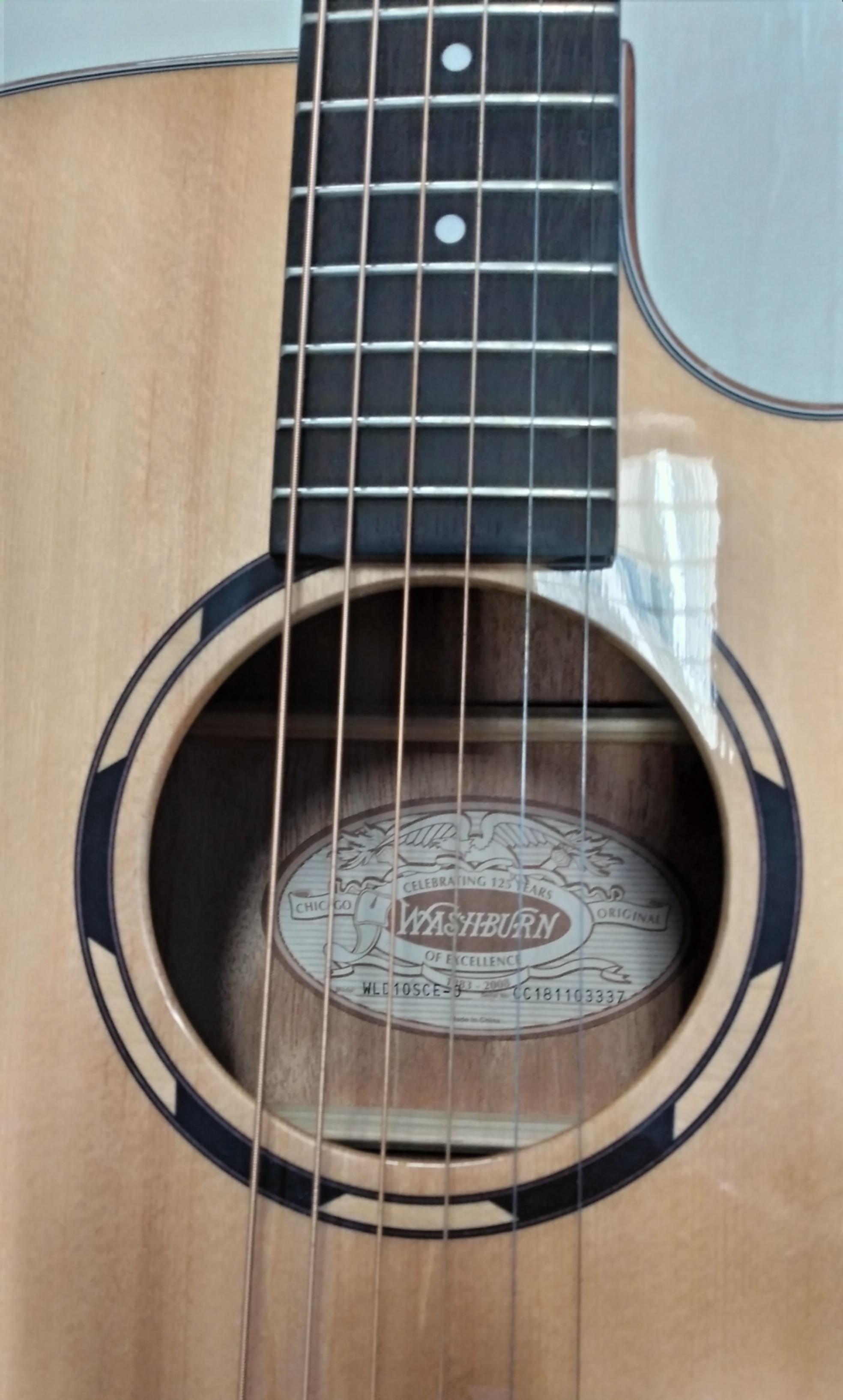 Washburn WLD10SCE