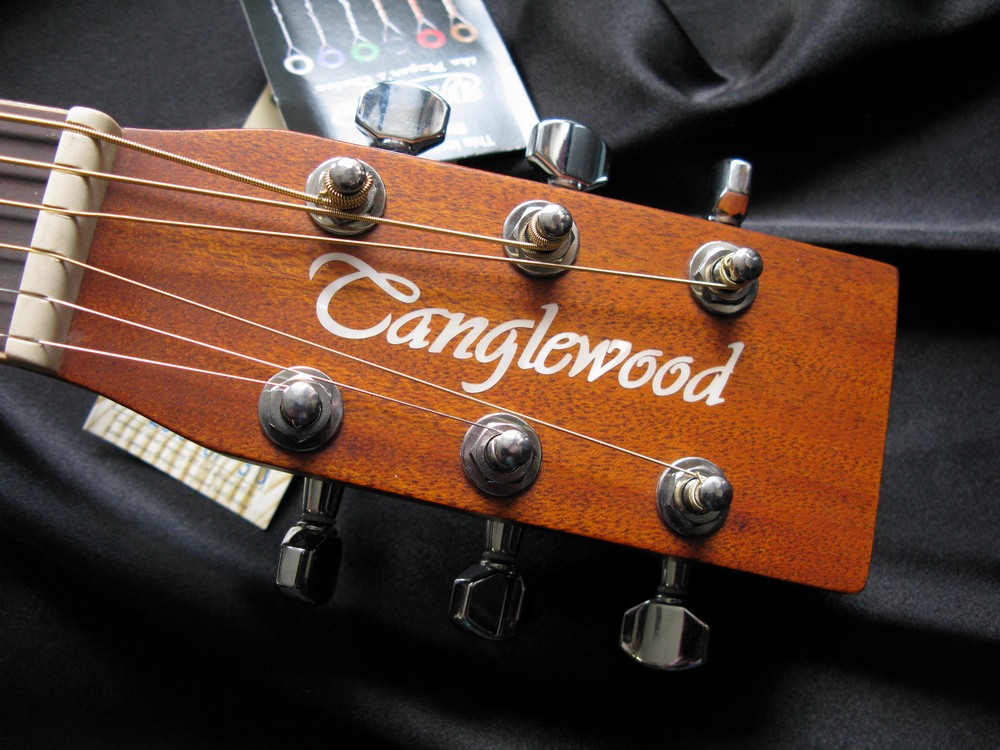 Tanglewood TW45 WOPE