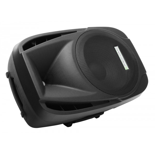 Pronomic PH12