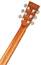 TANGLEWOOD TWR2 O