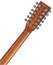 TANGLEWOOD TW12 CE