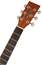 TANGLEWOOD TWR2 DCE