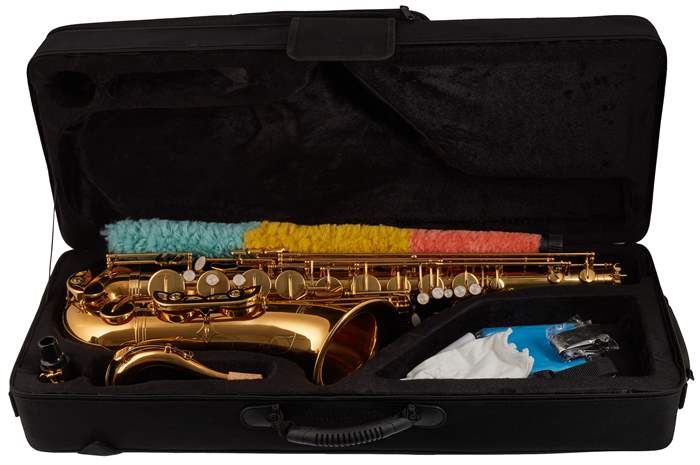 BACIO INSTRUMENTS BTS-100