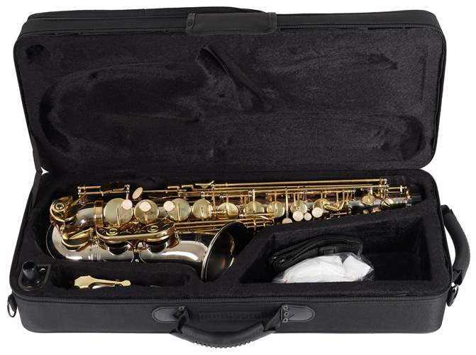 BACIO INSTRUMENTS BAS-100N