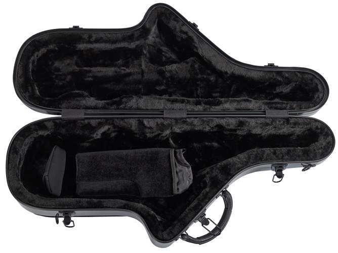 BACIO INSTRUMENTS BTSC100