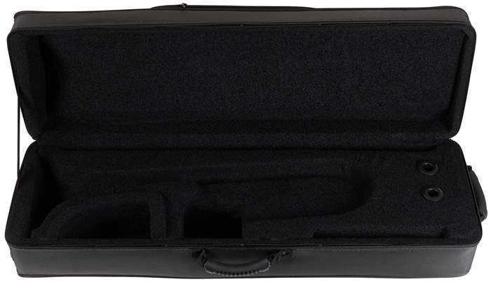 BACIO INSTRUMENTS BTTC260