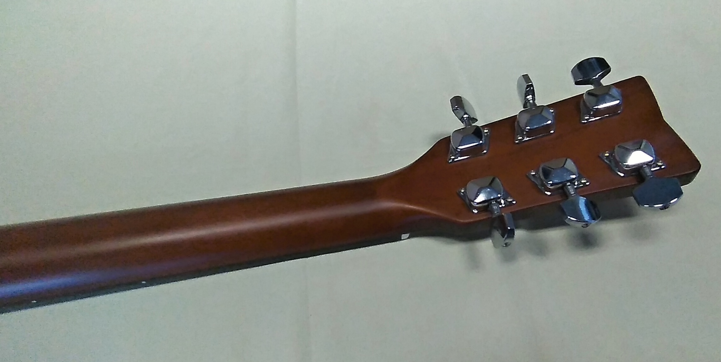 Yamaha F310 + obal Ritter