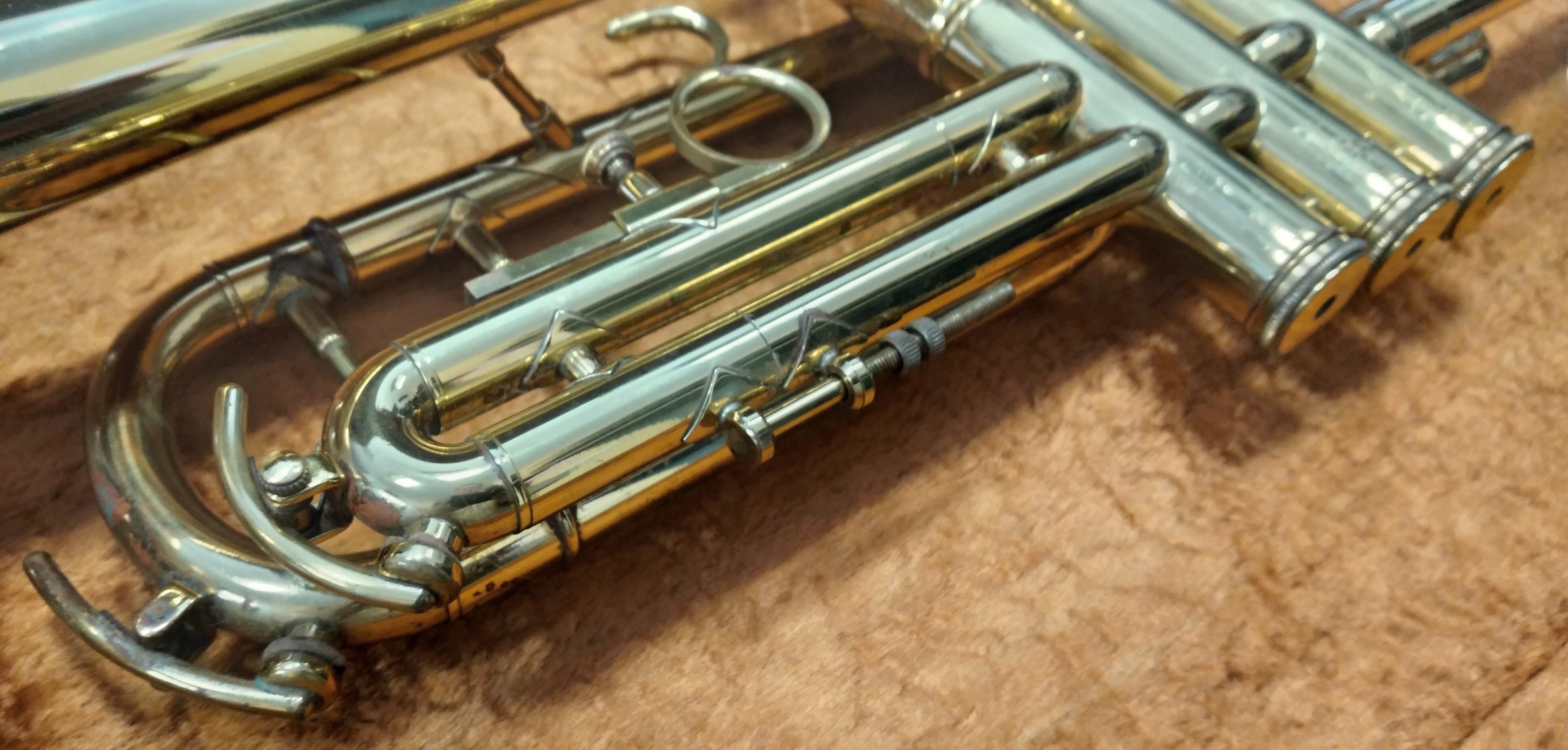 Amati Senator