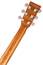 TANGLEWOOD TWR2 DCE