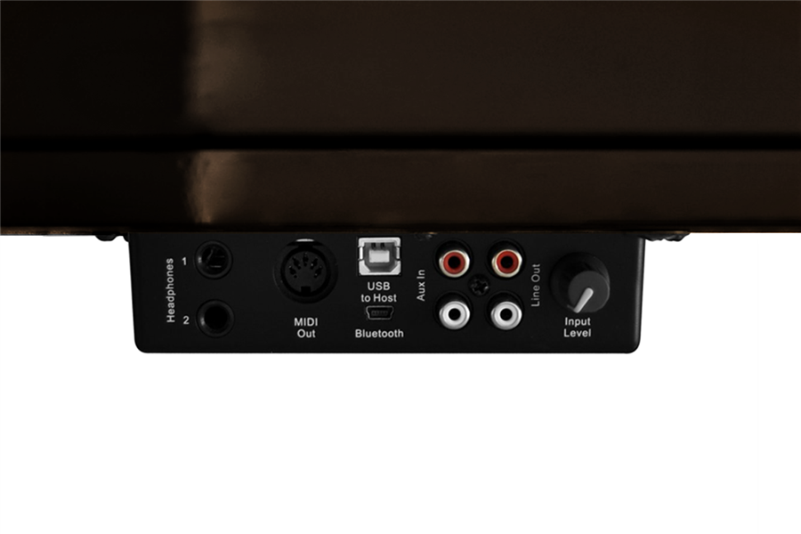 Artesia DP-2 Rosewood