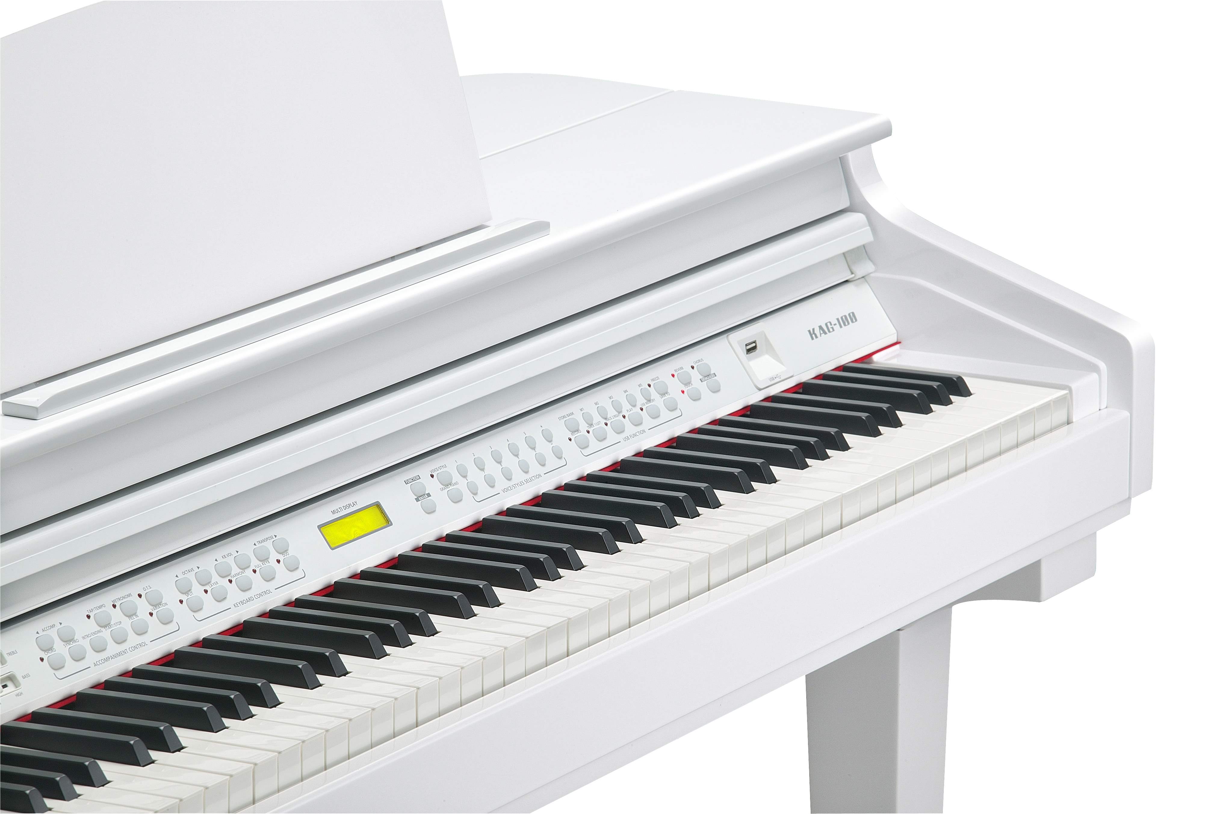 KURZWEIL KAG100 WHP