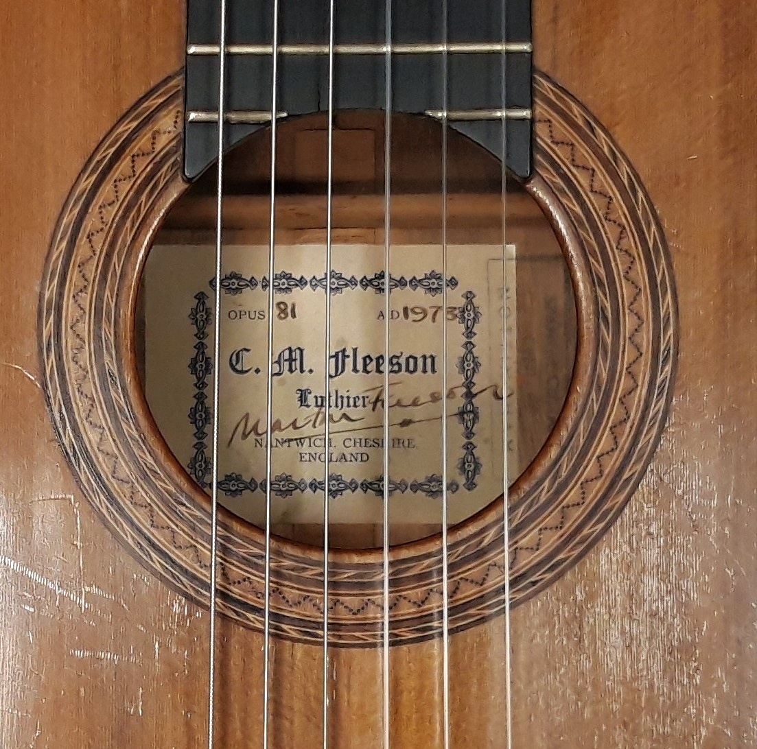  OPUS81 Koncertní mistrovská kytara Martin Fleeson 