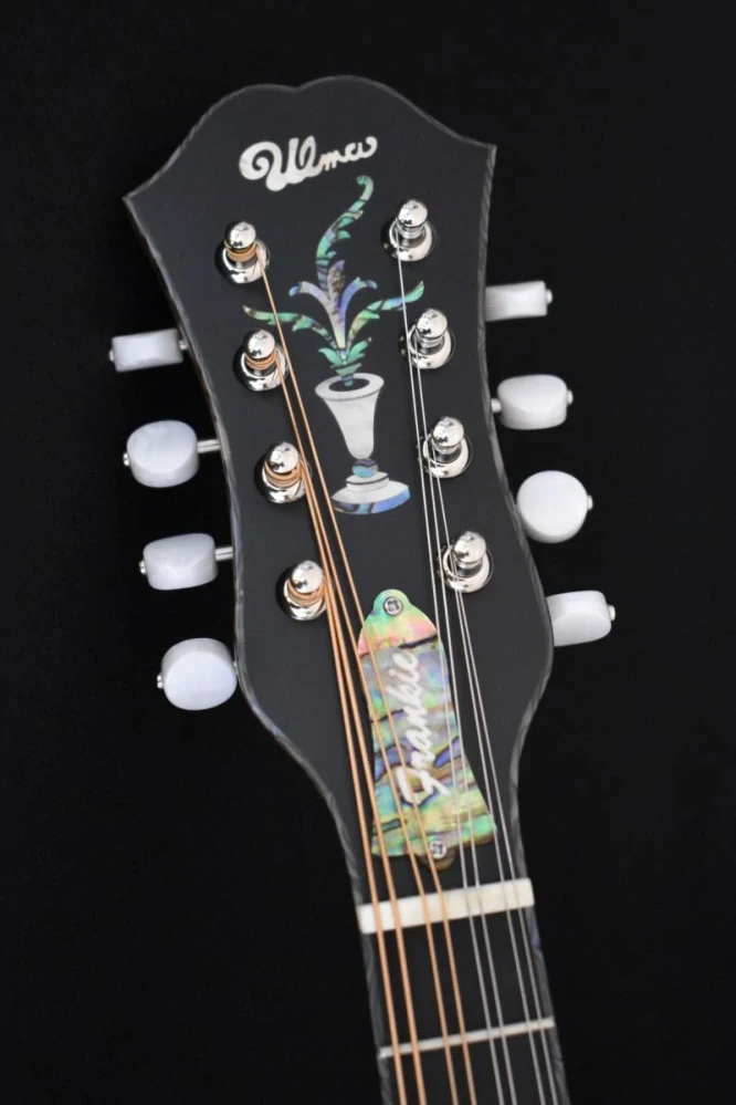 ULMA mandolin A5 Frankie