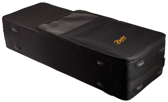 BACIO INSTRUMENTS BTS-100