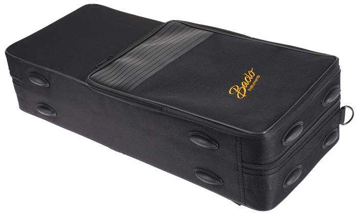 BACIO INSTRUMENTS BAS-100N