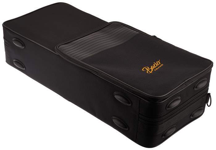 BACIO INSTRUMENTS BAS-100