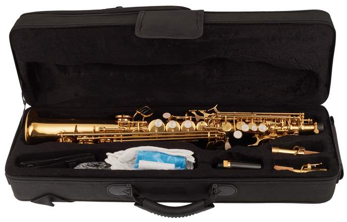 BACIO INSTRUMENTS BSS-100