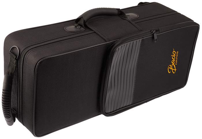 BACIO INSTRUMENTS BTR-100S