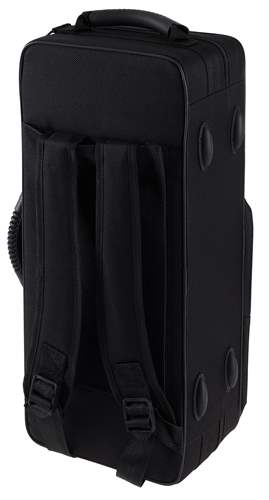 BACIO INSTRUMENTS BTR-100