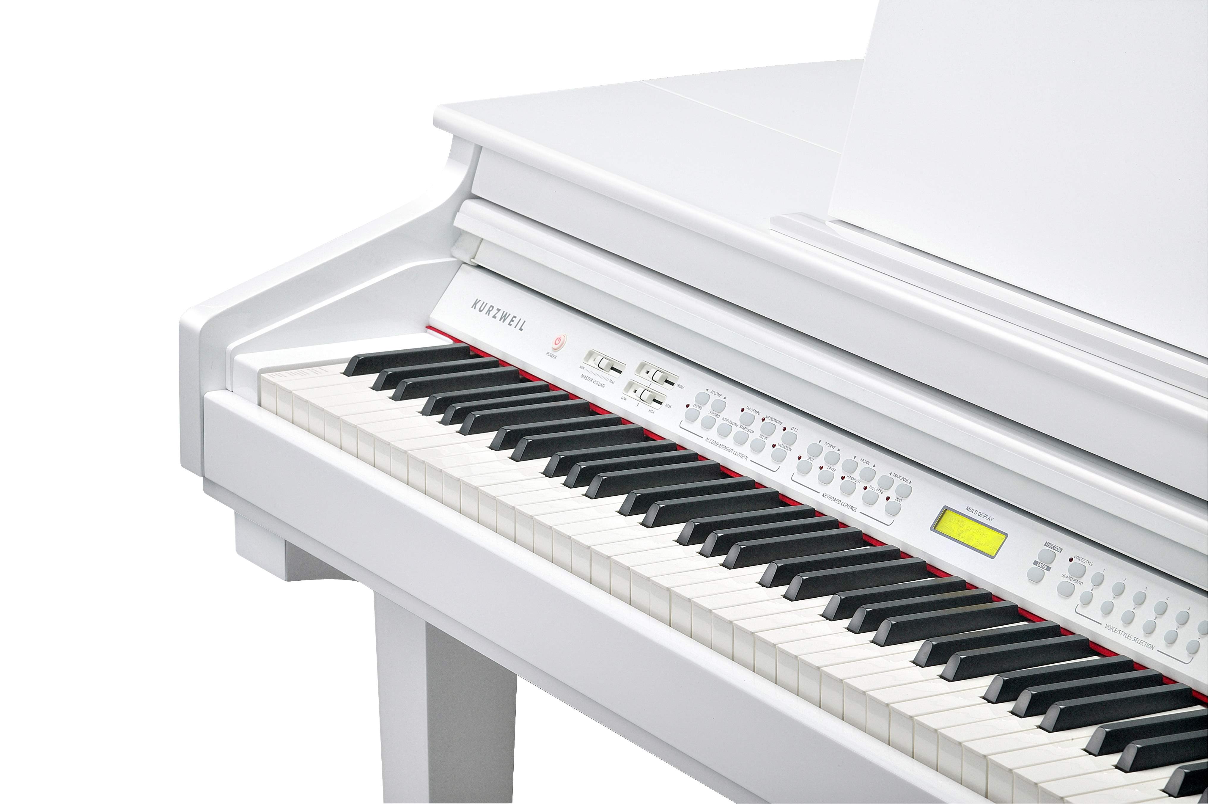 KURZWEIL KAG100 WHP