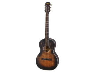 Aria-131DP