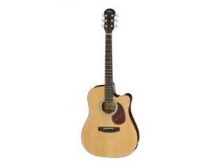 Aria ADW-01CE N