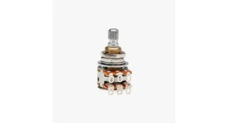 Aguilar 250k Dual