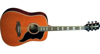 EKO Ranger VI VR Natural Top Stained