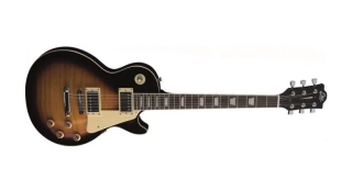 EKO VL-480 Honey Burst Flamed